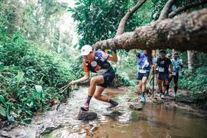 BIB: 
                            <button type="button" onclick="openModal(25374347)" class="btn btn-primary btn-sm float-right btn-popup" data-toggle="modal" data-target=".modal-high-quality">
                        <i class="fas fa-shopping-cart"></i> Add to Cart
                    </button>
                                            <button type="button" onclick="isThisMe(25374347, true)" class="btn btn-success btn-sm float-right btn-popup btn-isme hidden" data-toggle="tooltip" data-placement="bottom" title="นี่คือรูปของคุณใช่ไหม คลิกที่นี่เพื่อเอาเข้าอัลบั้ม">
                        <i class="fas fa-plus"></i> Add to album
                    </button>
                    <button type="button" onclick="isThisMe(25374347, false)" class="btn btn-warning btn-sm float-right btn-popup btn-isnotme hidden">
                        <i class="fas fa-ban"></i> Remove from album
                    </button>